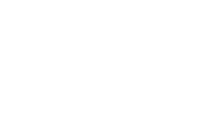 deep seek logo claro