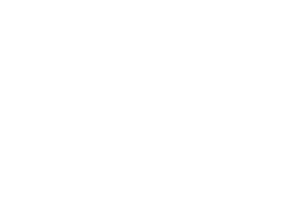 gemini logo claro