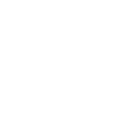 optimizacion servicios digitales